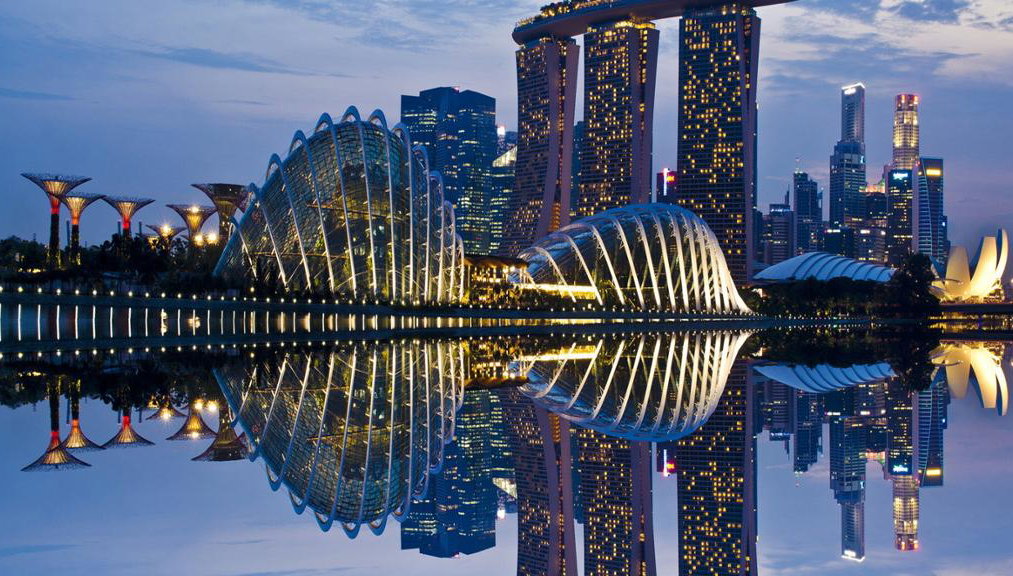 Discover Singapore - Full-Day Private Car Hire with Chauffeur - Photo 1